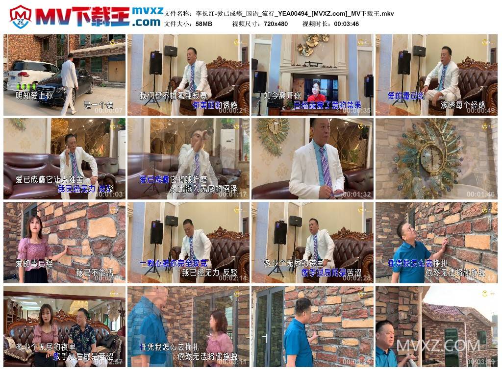 李长红-爱已成瘾_国语_流行_YEA00494